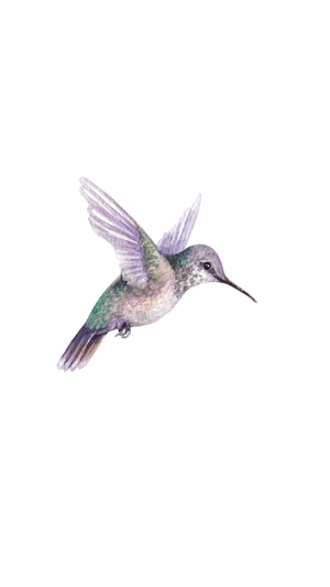 hummingbird